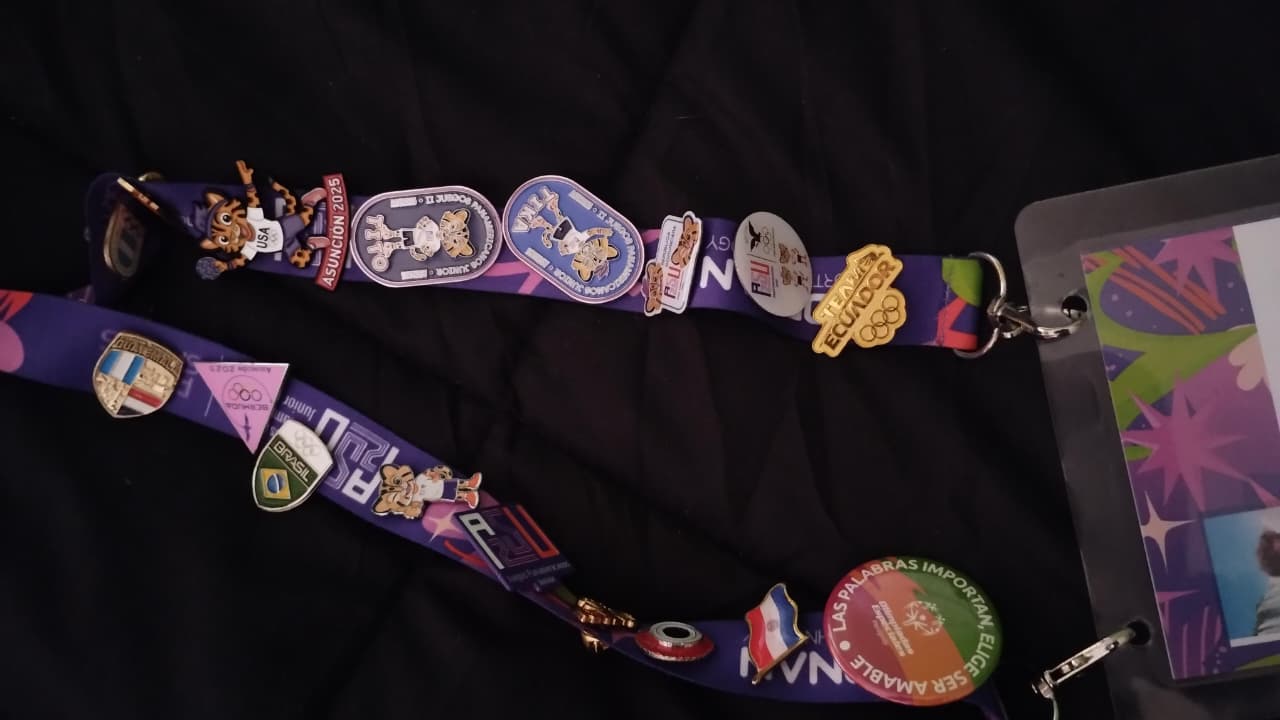 Los pins, la moneda de intercambio de Asu 2025